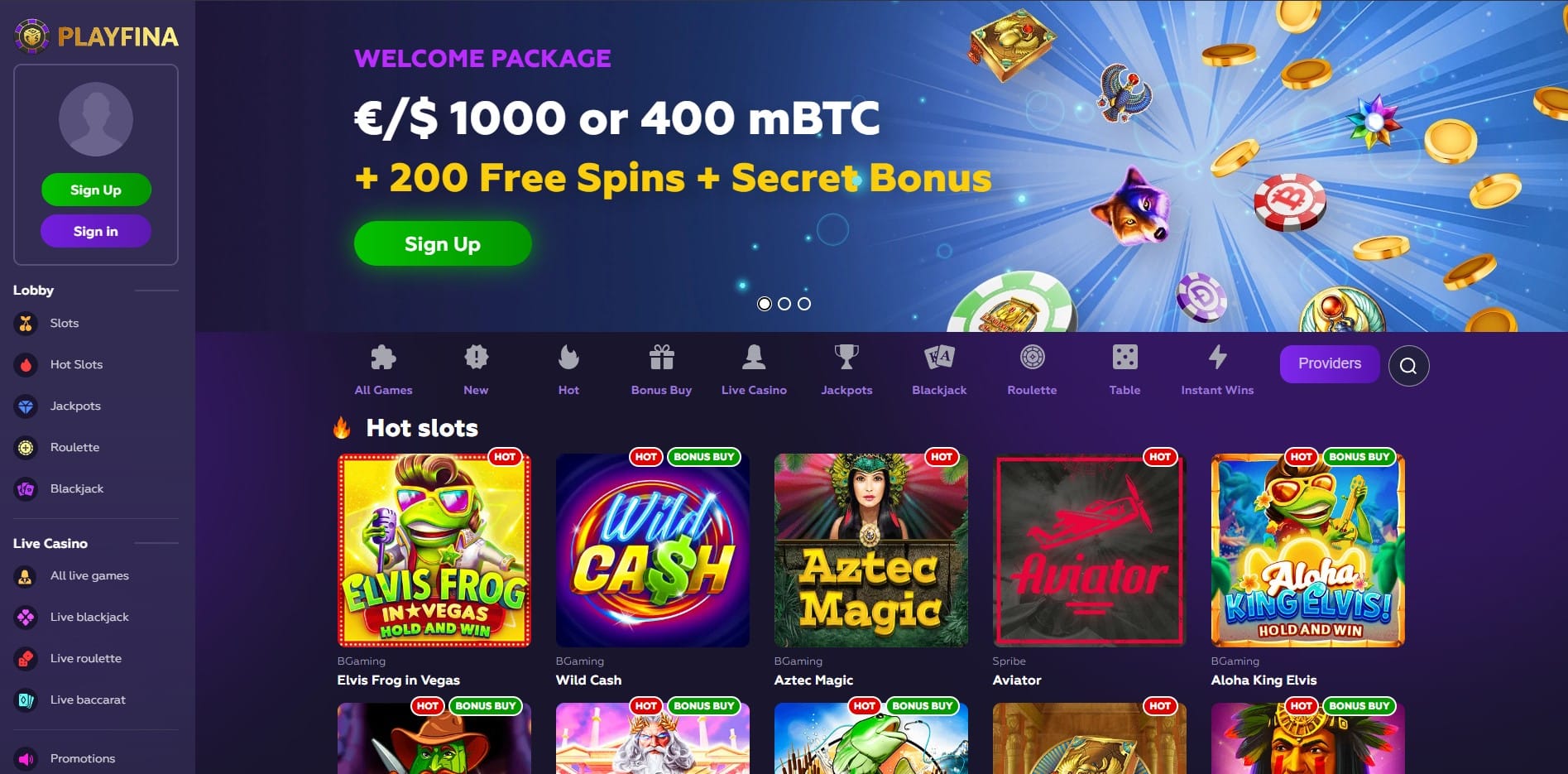 Playfina interface
